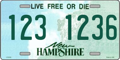 NH license plate 1231236