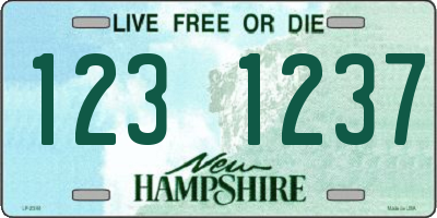 NH license plate 1231237