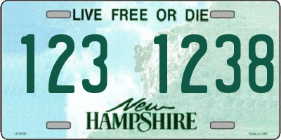 NH license plate 1231238