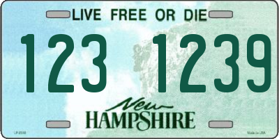 NH license plate 1231239