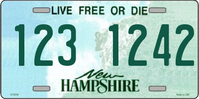 NH license plate 1231242