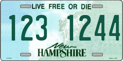 NH license plate 1231244