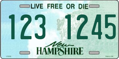 NH license plate 1231245