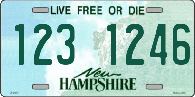 NH license plate 1231246