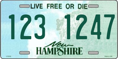 NH license plate 1231247