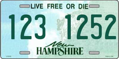 NH license plate 1231252