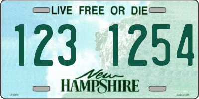 NH license plate 1231254