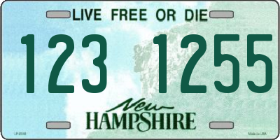 NH license plate 1231255