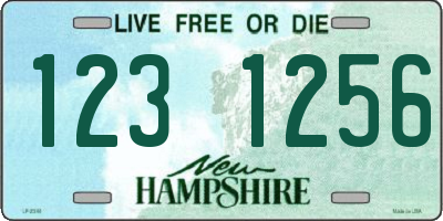 NH license plate 1231256