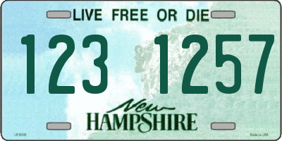 NH license plate 1231257