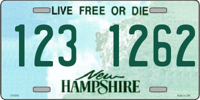 NH license plate 1231262