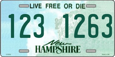 NH license plate 1231263