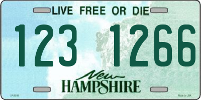 NH license plate 1231266