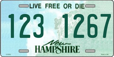 NH license plate 1231267