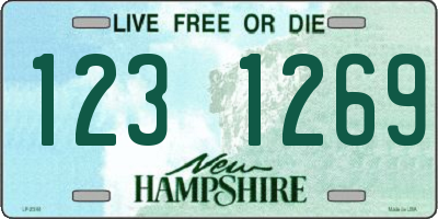 NH license plate 1231269