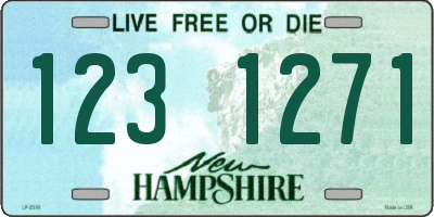 NH license plate 1231271