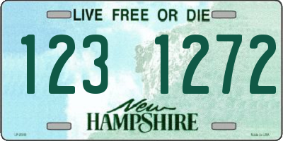 NH license plate 1231272