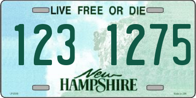 NH license plate 1231275