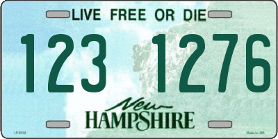 NH license plate 1231276