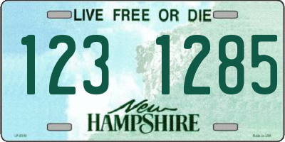 NH license plate 1231285