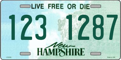 NH license plate 1231287