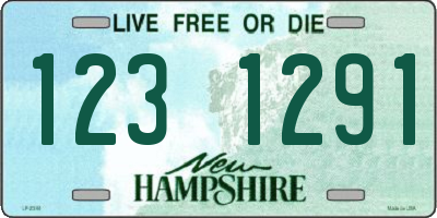 NH license plate 1231291