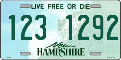 NH license plate 1231292