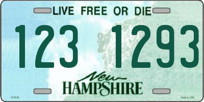 NH license plate 1231293