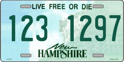 NH license plate 1231297