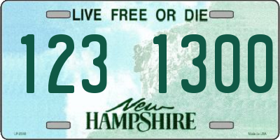 NH license plate 1231300