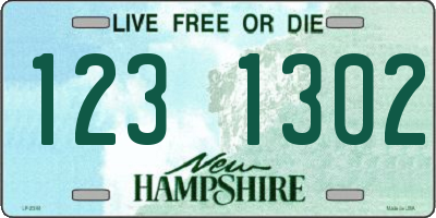 NH license plate 1231302