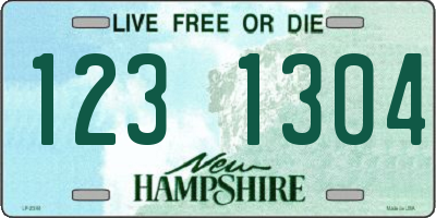 NH license plate 1231304