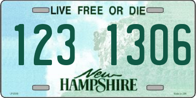 NH license plate 1231306