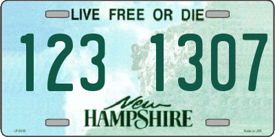 NH license plate 1231307