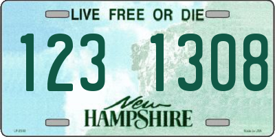 NH license plate 1231308