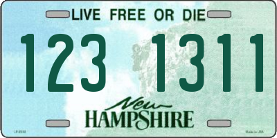 NH license plate 1231311