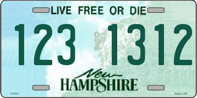 NH license plate 1231312
