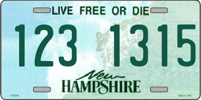 NH license plate 1231315