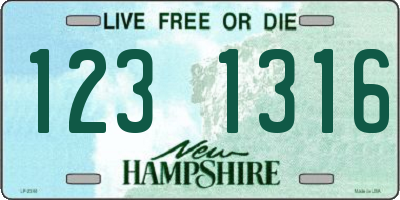 NH license plate 1231316