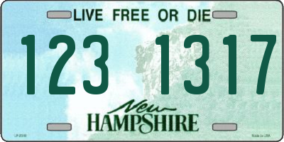 NH license plate 1231317
