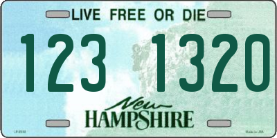 NH license plate 1231320