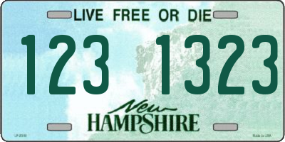 NH license plate 1231323