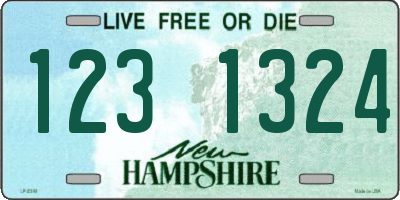 NH license plate 1231324