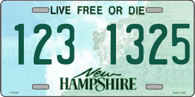 NH license plate 1231325