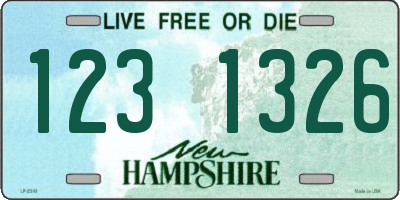 NH license plate 1231326