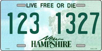 NH license plate 1231327