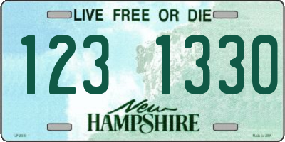 NH license plate 1231330