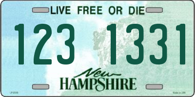 NH license plate 1231331