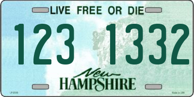 NH license plate 1231332