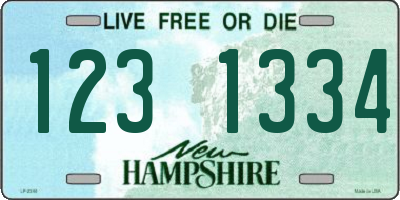 NH license plate 1231334